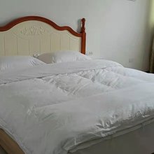 莲花友谊公寓