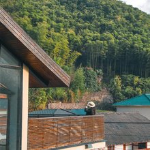 莫干山依山依水·设计师名宿