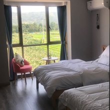 岱山夏约民宿