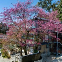 史迪威客栈