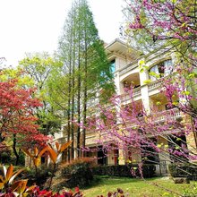 梅岭听竹度假民宿