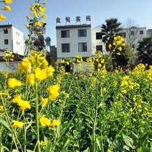 罗平金甸客栈