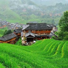 龙脊梯田春雨阁客栈(金坑二号观景台店)