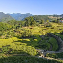 杭州红叶山居民宿