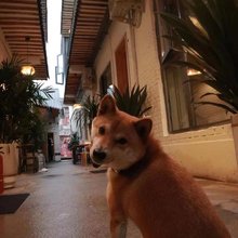 洛阳旮旯精品民宿(洛邑古城丽景门十字街店)