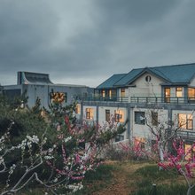 汇泉桃花岛艺术度假民宿