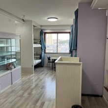 花海青旅