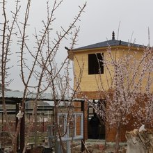 别情小院农家乐(白杨沟店)