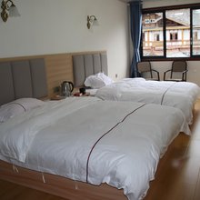 宝兴藏乡情宾馆