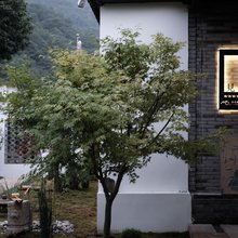杭州见山·清舍(西湖灵隐店)