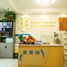 巴东青青树民宿(野三关顺景现代城店)