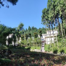 邛崃林海山庄