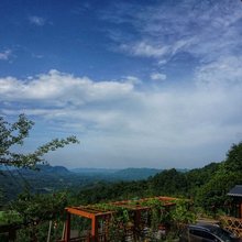天台山枇杷园