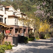 龙门南昆山温泉养生谷山影随行日式民宿