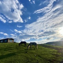 特克斯原舍山石间民宿