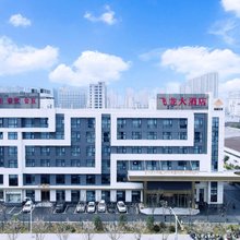 飞龙大酒店(合肥肥西高新产业园明珠大道店)