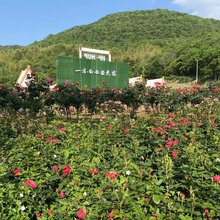 一方·白云安民宿