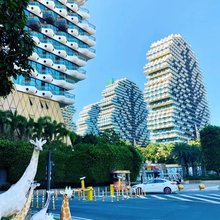三亚盛世金树公寓(恒大美丽之冠店)