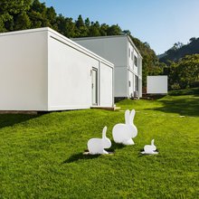 珙桐山居