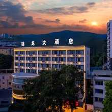 田林锦龙大酒店