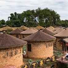邛崃大梁酒庄民宿(邛酒文化风情旅游村落店)