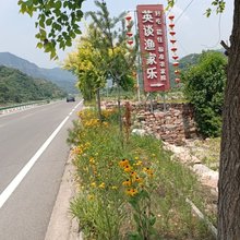 英谈渔家乐