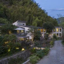 仙居杜若白金民宿
