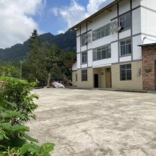 重庆山歌茶韵民宿
