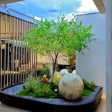 香榭雨林·度假酒店(香格里拉独克宗古城店)