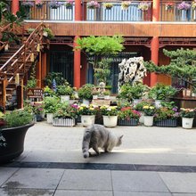 潍坊晶舍四合院(潍坊火车站世纪泰华广场店)