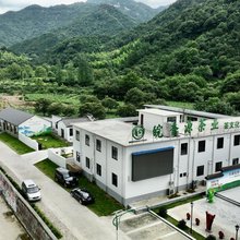 舒城皖香源山麓茶宿