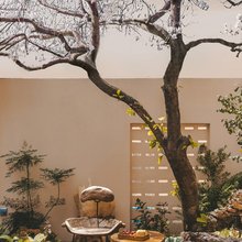 私席·丛庐设计美学原居STADUSTLAND COZYNITE(丽江古城大水车店)