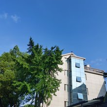 象山香樟苑客栈