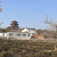 溧水区梅花山民宿