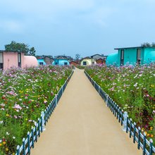 阳新月上云间营地