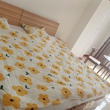 莱西爱磊公寓