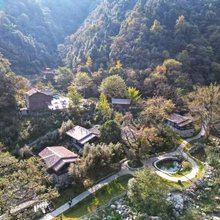 夏清金竹湾民宿