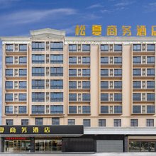 佛山松夏商务酒店(南海松岗工业园店)