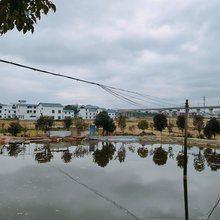 信丰悦纳时尚民宿