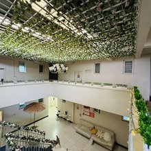 上岸民宿(温江大学城店)