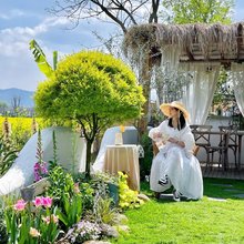 Secret Realm榕意·旅居秘境花园美居(丽江古城店)