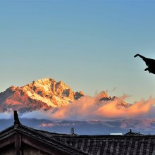 御雪晴城·心颐山境民宿(丽江狮子山店)