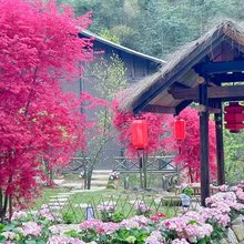 云冰山湘江源客栈