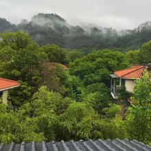武夷山妙极正岩茶馆