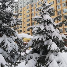 缘溪山居民宿