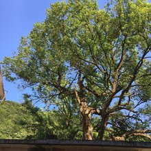 歙县深渡城建宾馆