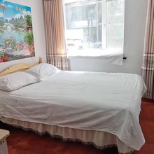 大棵菜旅店