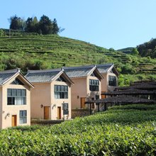 安溪德峰茶庄园