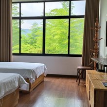 莫干山乡音民宿