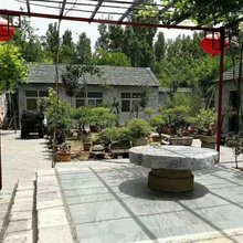 泰阳庄园